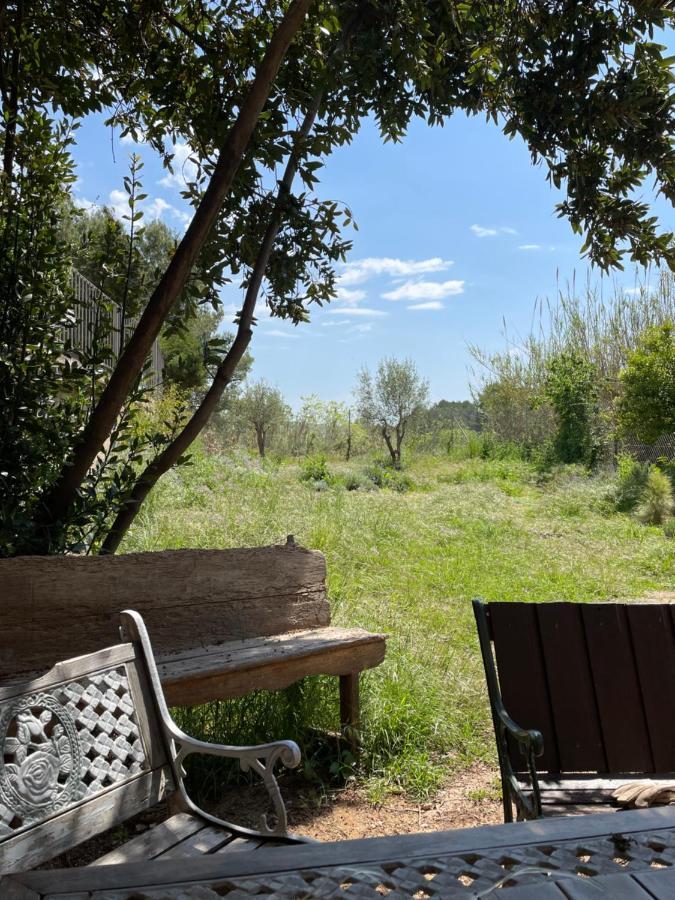Casa Rural Con Jardin,A 8Km Playa Y En La Naturaleza Taronja&Canyella Ardenya Exteriér fotografie