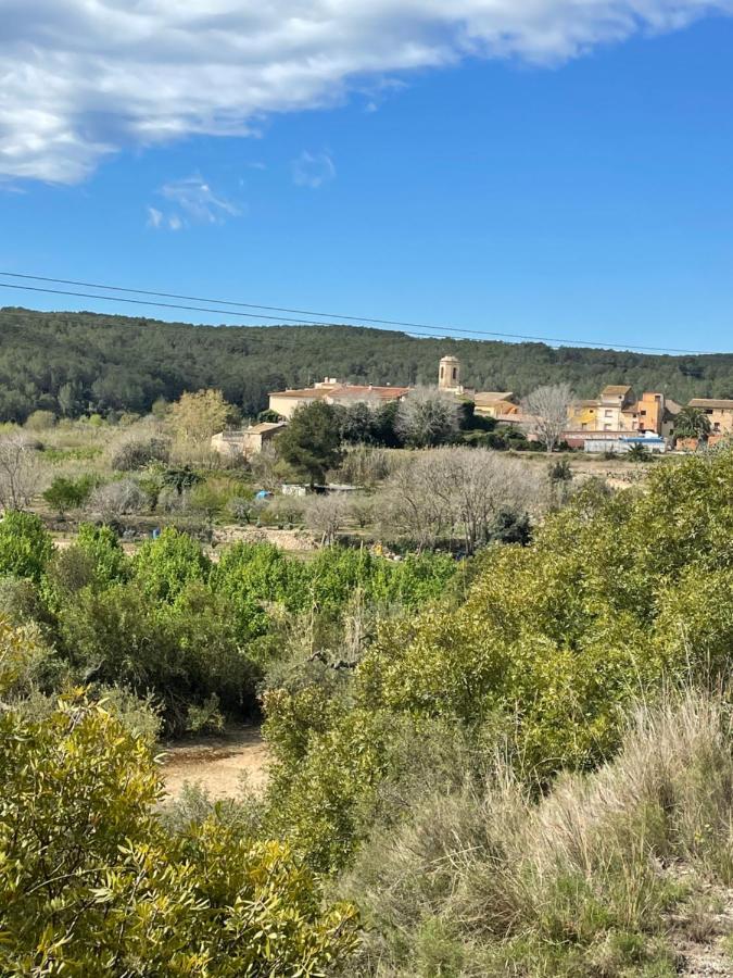 Casa Rural Con Jardin,A 8Km Playa Y En La Naturaleza Taronja&Canyella Ardenya Exteriér fotografie