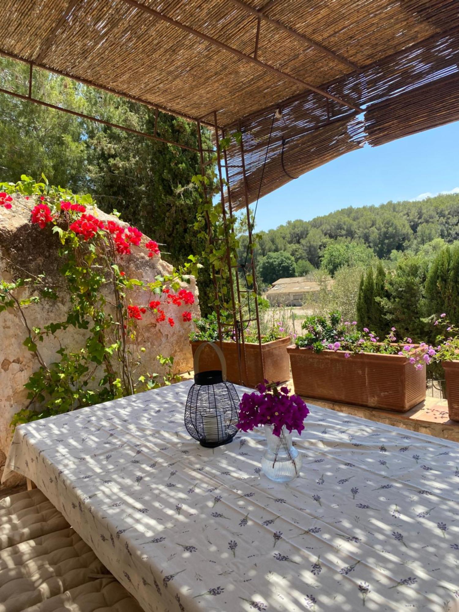 Casa Rural Con Jardin,A 8Km Playa Y En La Naturaleza Taronja&Canyella Ardenya Exteriér fotografie