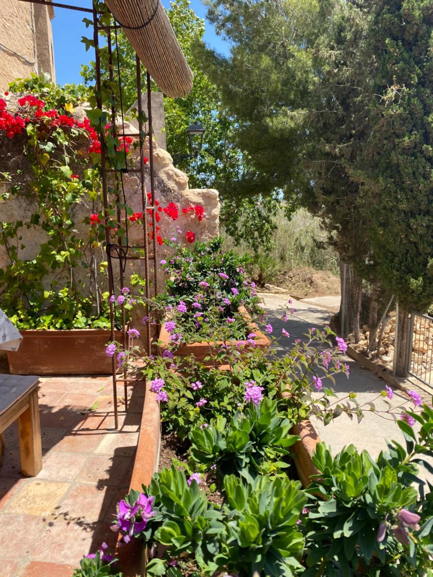 Casa Rural Con Jardin,A 8Km Playa Y En La Naturaleza Taronja&Canyella Ardenya Exteriér fotografie